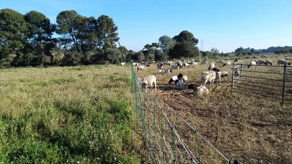 Landing image007 udw