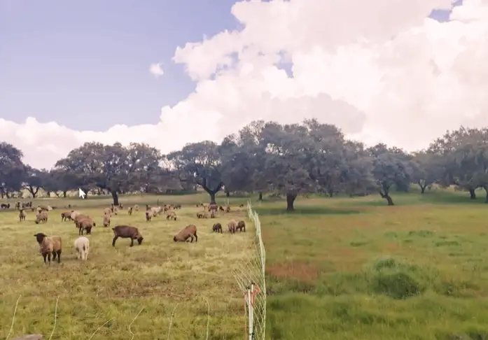 Landing image013 udw